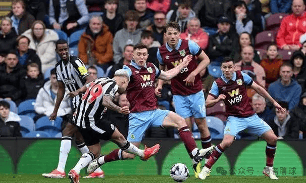 论的焦点 论的焦点